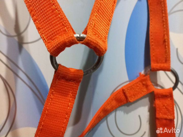 Амуниция для лошади