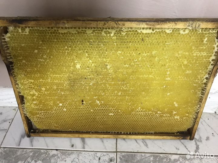 Ульи для пчел,сушь