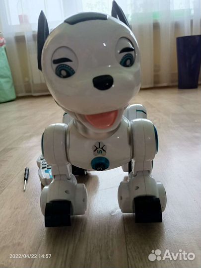 Робот-собака