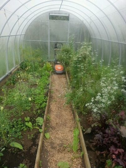 Дача 36 м² на участке 6 сот.