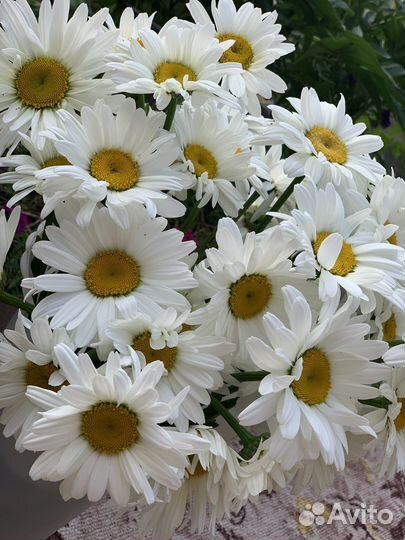 Букет из ромашек