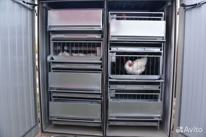 Курятник для бройлеров/несушек/перепелов
