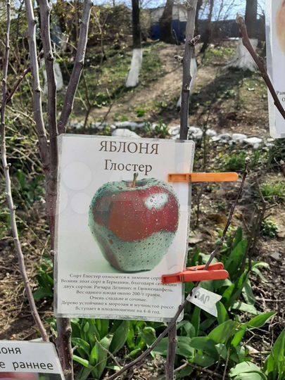 Участок 5,2 сот. (ИЖС)