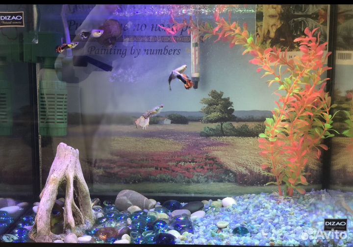 Аквариум 30 л с рыбками