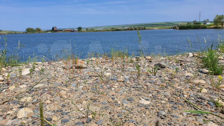 Участок 43 сот. (СНТ, ДНП)