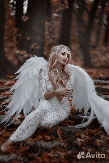 Крылья ангела (аренда,продажа)