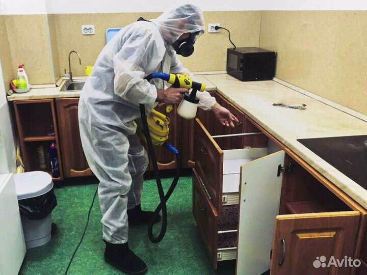 Дезинфекция тараканов, клопов, комаров, крыс мышей