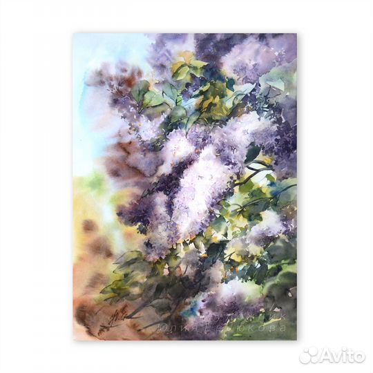 Картина Сирень Оригинальная акварель в раме