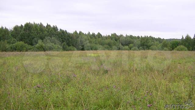 Участок 5,2 га (СНТ, ДНП)