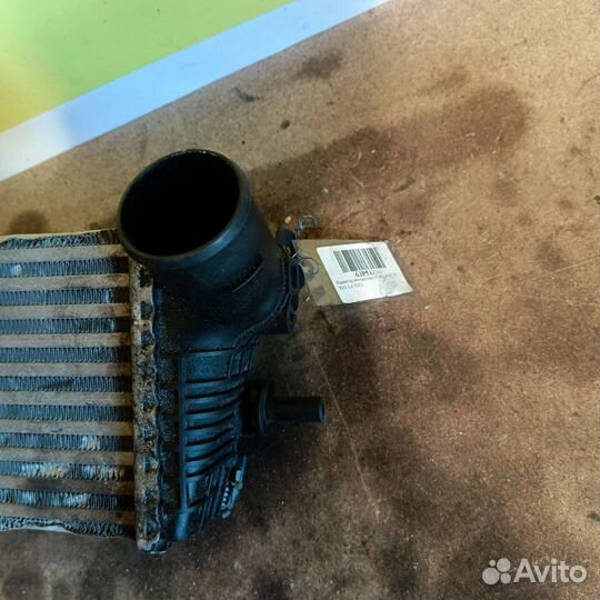 Радиатор интеркулера Ford Focus 3 1.6 diesel