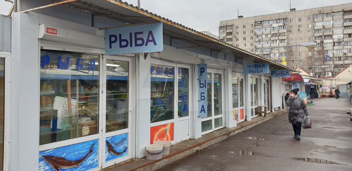 Торговая площадь продукты, 26.6 м²