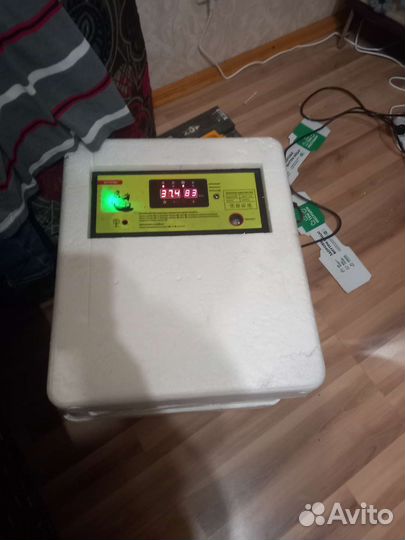 Инкубатор для яиц автоматический бу