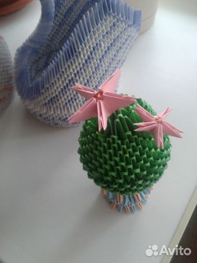 Кактус с цветами