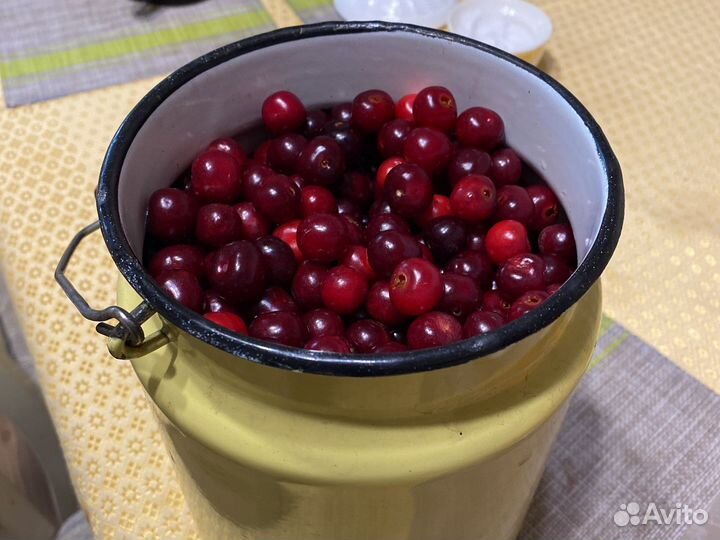 Вишня ягоды