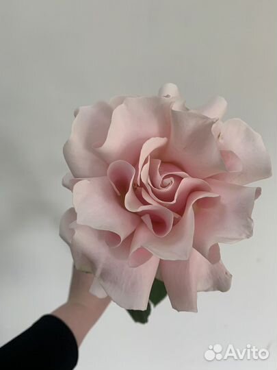 Букеты гиганты, роза, роза ажур