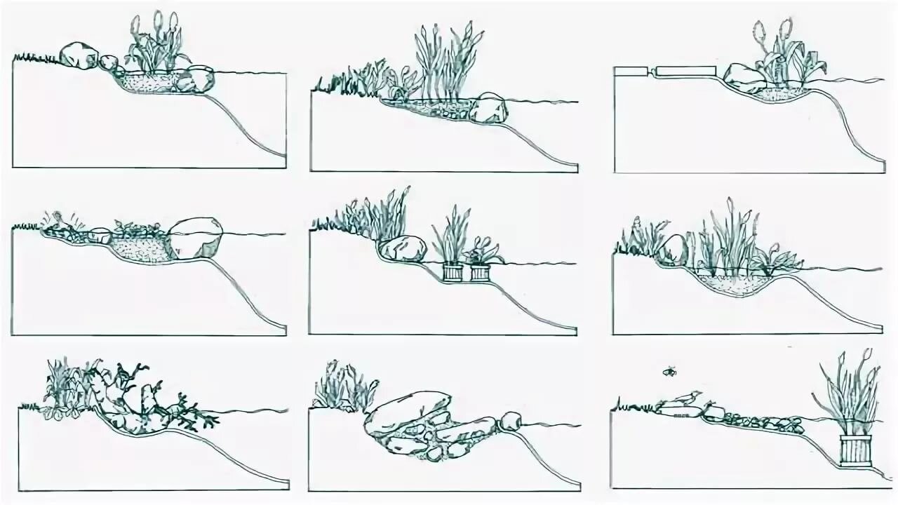 Схема водоема. Схема посадки водных растений. Схема посадки растений у пруда. Зоны посадки водных растений. Схема посадки водных растений на м2.