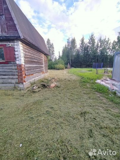 Услуги косить траву