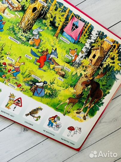 От мышки до мишки (большая книжка с окошками)