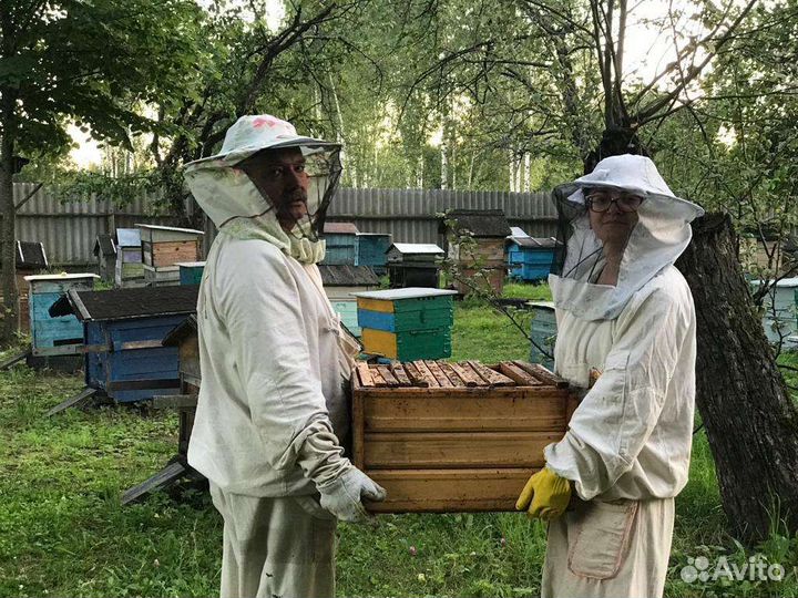 Продаются 10 ульев с пчелами многокорпусные