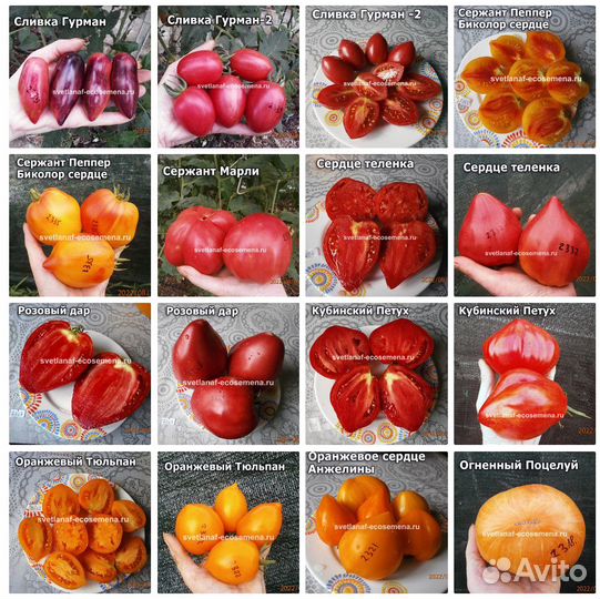 Коллекционные семена томатов и перцев