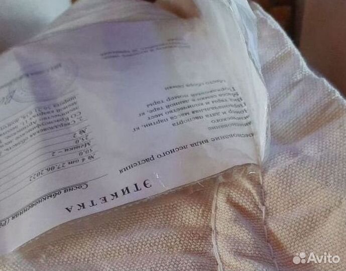 Доставка семян лиственницы