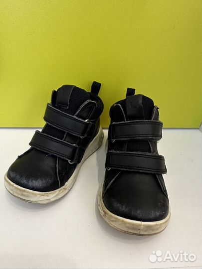 Ботинки ecco 24