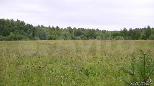 Участок 5,2 га (СНТ, ДНП)