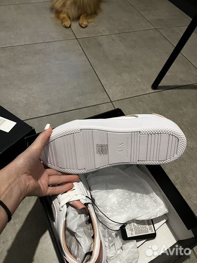 Armani exchange кеды