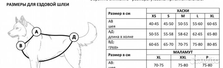 Ездовая шлея для Хаски размер М