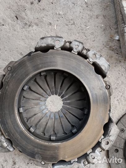 Сцепление шнива