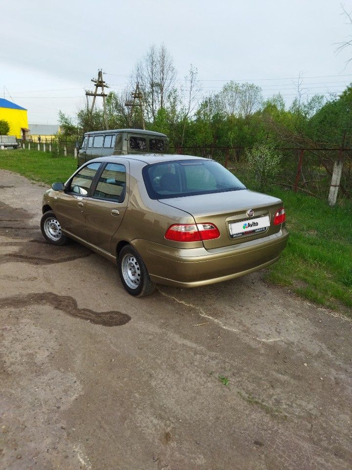 FIAT Albea: фото владельца