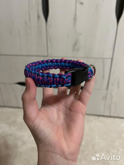 Ошейник для собак