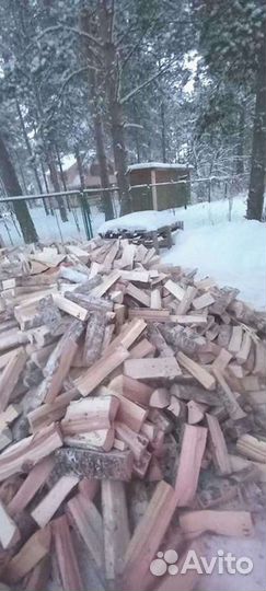 Дрова колотые березовые