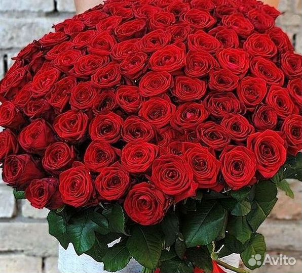Розы Эквадор Метровые 100 см доставка Москва