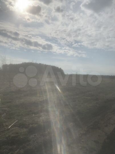 Участок 2 га (СНТ, ДНП)