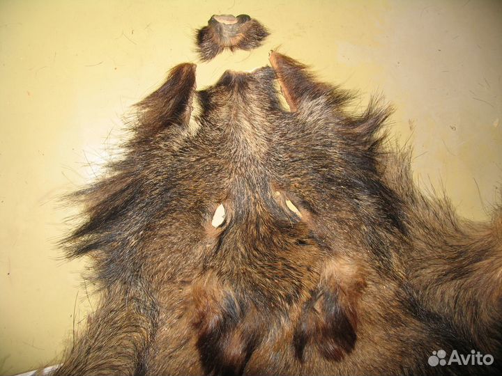 Кабанья шкура