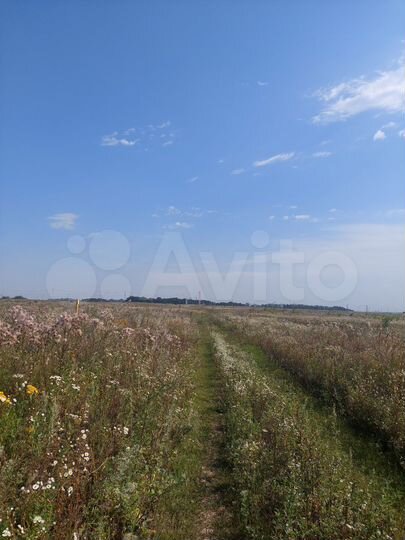 Участок 10 сот. (ИЖС)