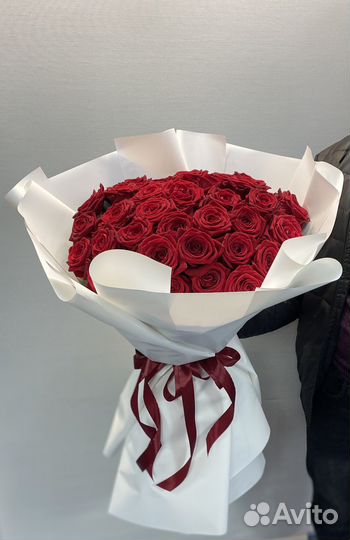 Цветы/Букет 51 красная роза