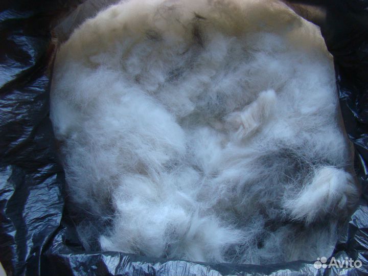 Шерсть собачья