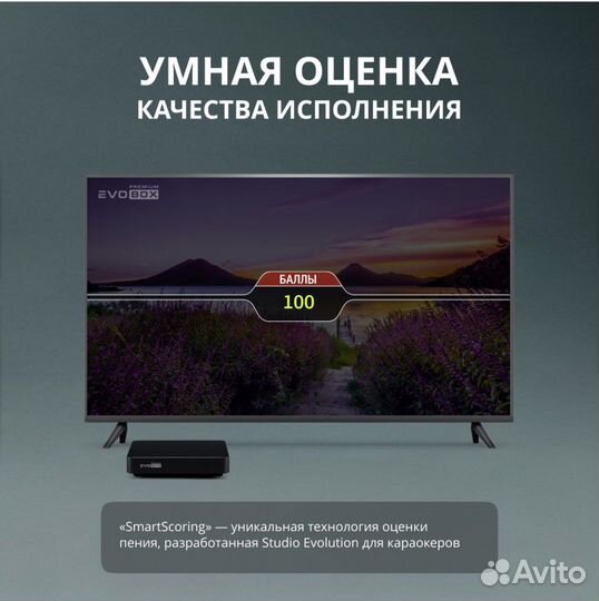 Караоке Evobox Premium