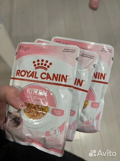 Корм для котят royal canin