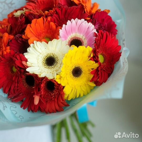 Герберы букет цветы