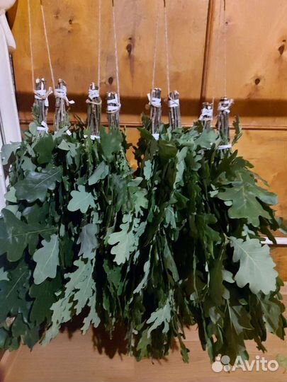 Дубовые веники для бани