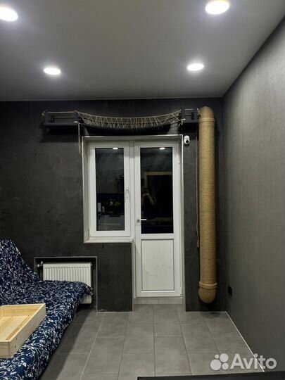 Когтеточка