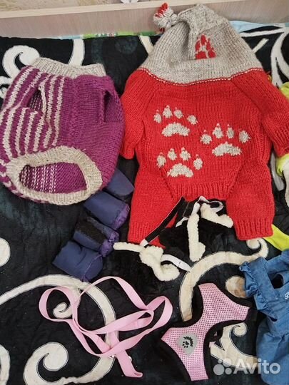 Пакет вещей для собак