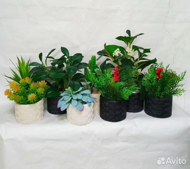 Искусственные растения в гипсовом кашпо