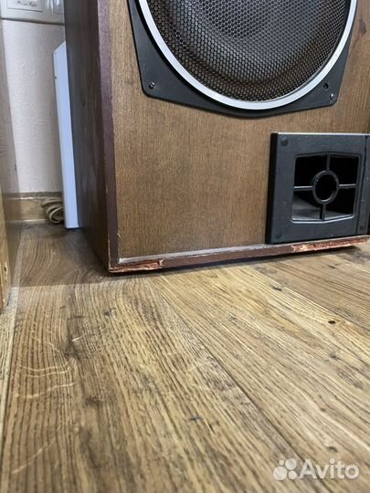 Акустические колонки Союз 50 ас 012