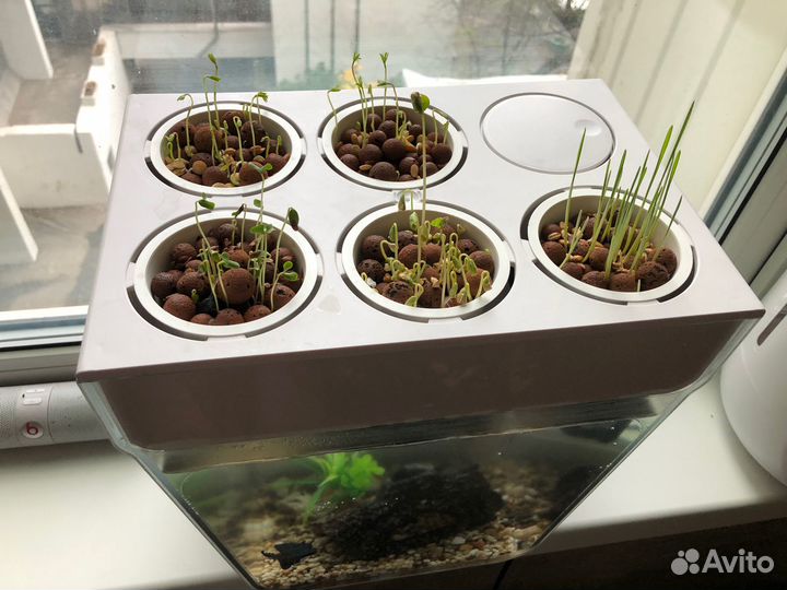 Акваферма «Назад к истокам» 11 л