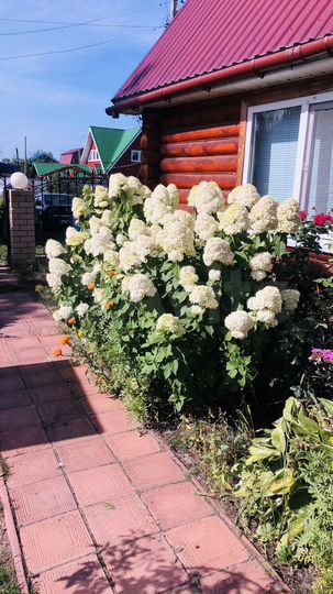 Дача 73,8 м² на участке 7 сот.