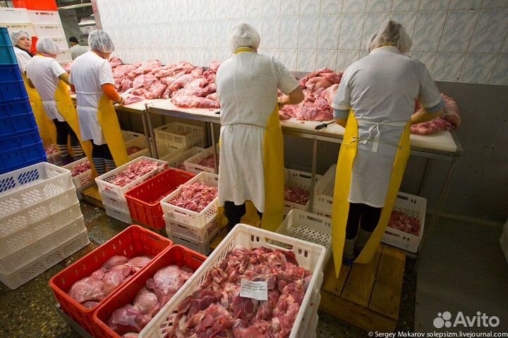 Рабочие в цех обвалки (без опыта)